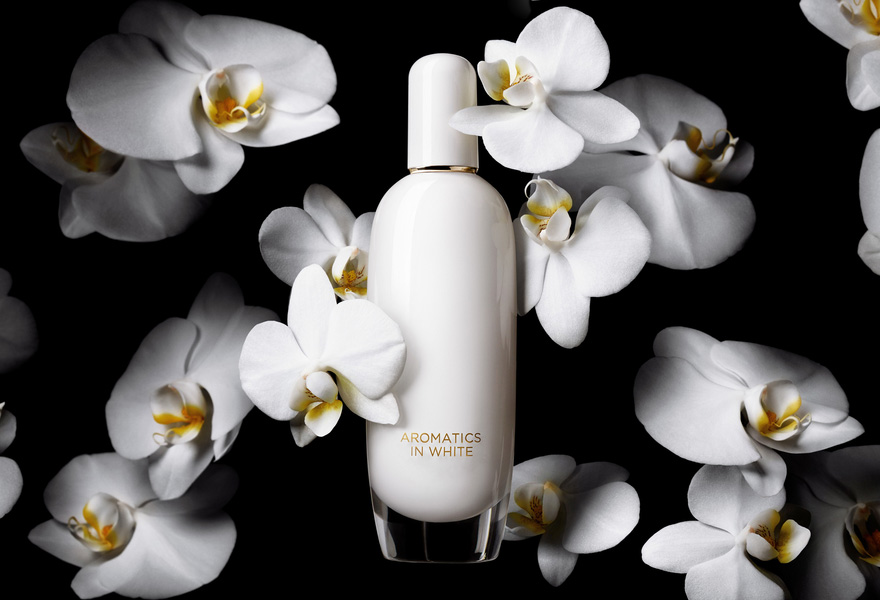 Celebrating the White Orchid